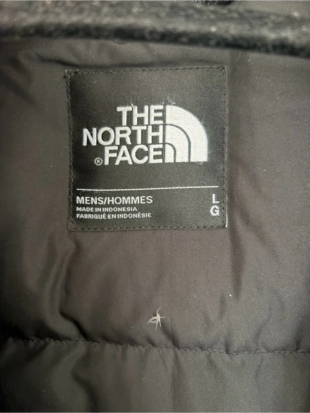 North Face Parka